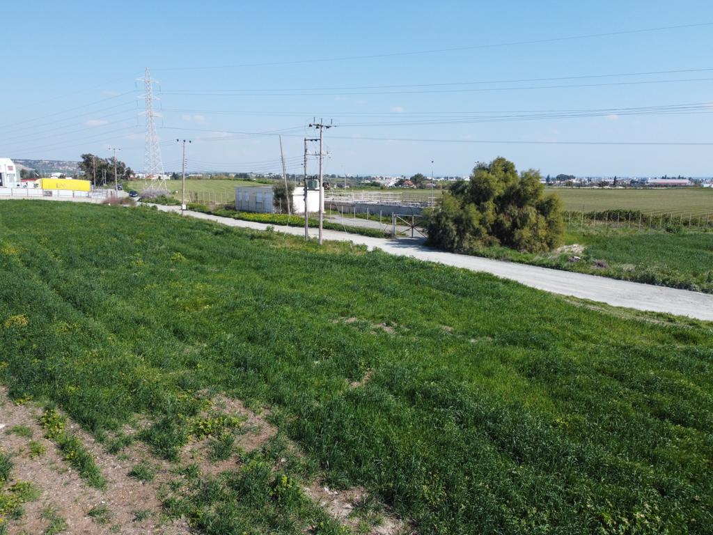 Field - Aradippou, Larnaca-Aradippou