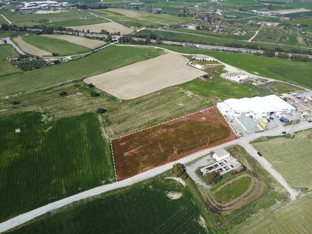 Field - Aradippou, Larnaca-Aradippou