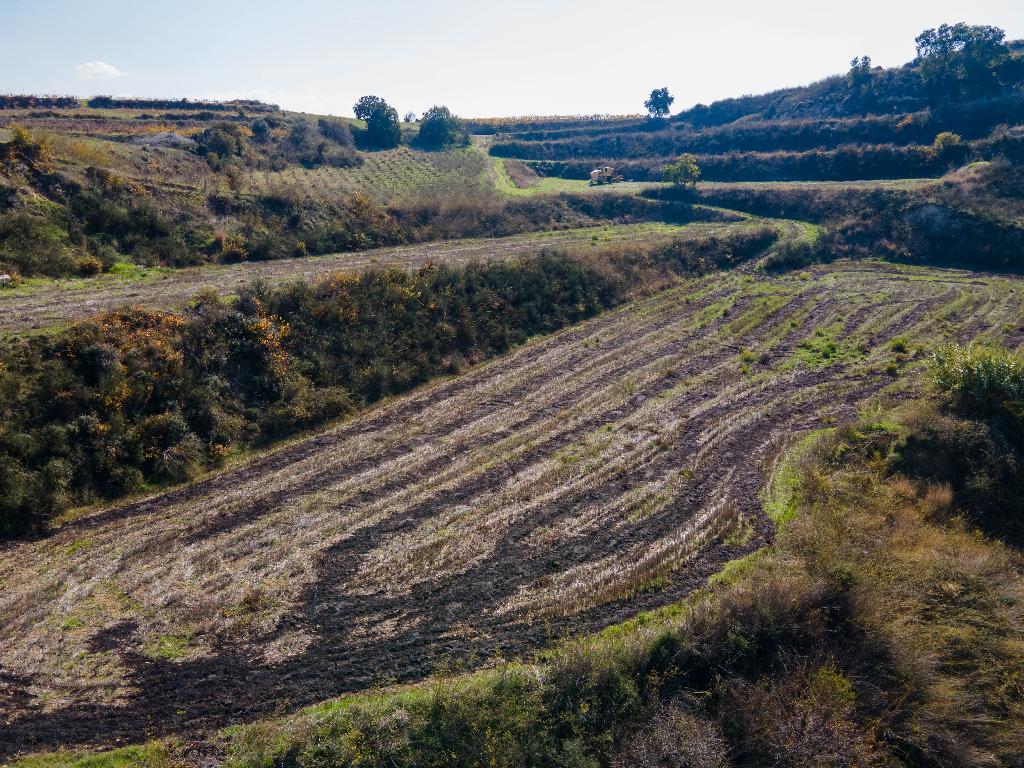 Field - Stroumpi, Paphos