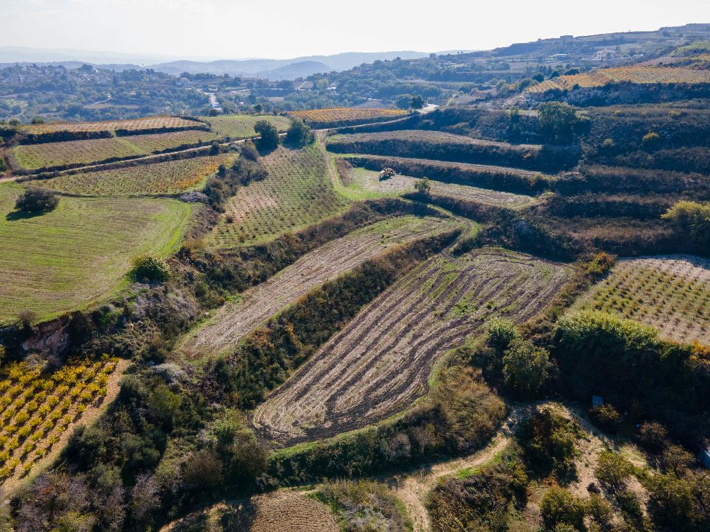 Field - Stroumpi, Paphos