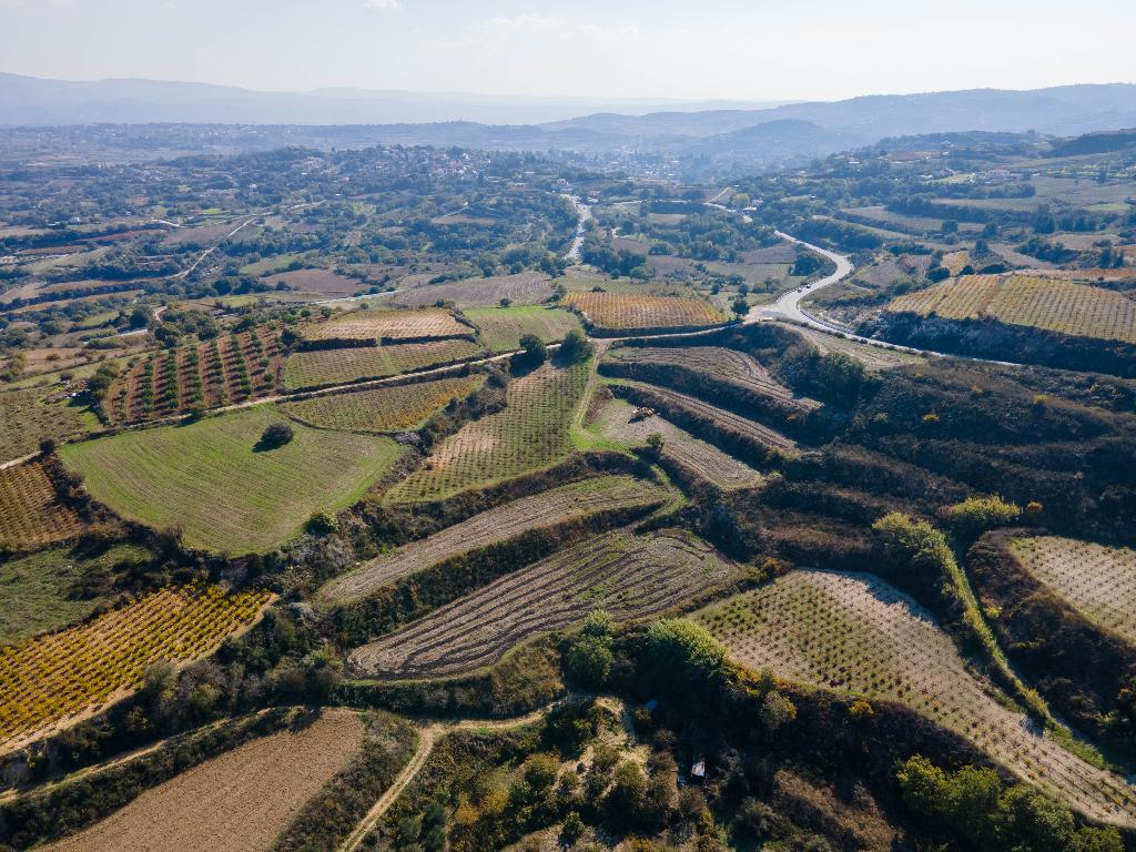 Field - Stroumpi, Paphos