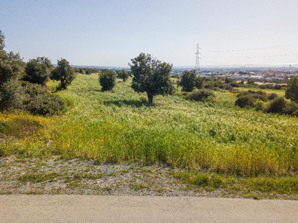 Field (Share) - Ypsonas, Limassol-Ypsonas