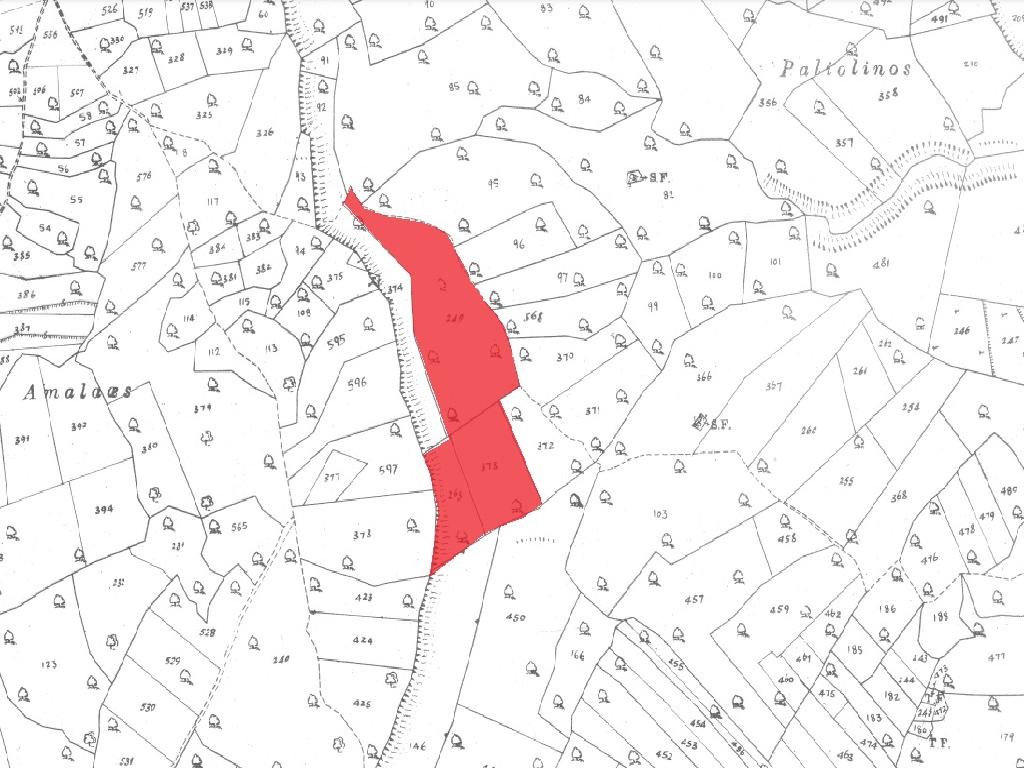 Field - Pachna, Λεμεσός-Pachna