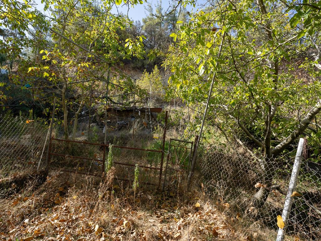 Fields - Kakopetria, Nicosia-Kakopetria