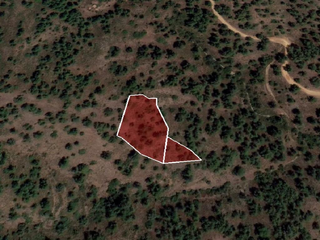 Field - Palaichori Morfou, Nicosia-Palaichori Morfou
