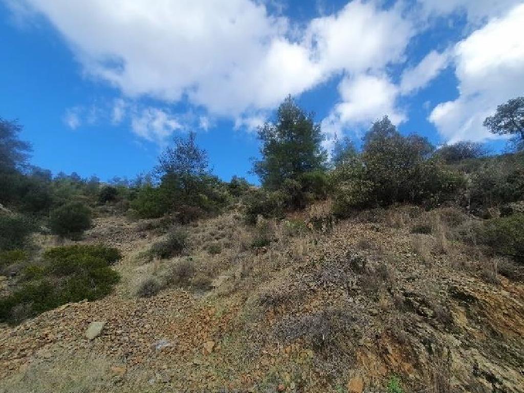 Field - Palaichori Morfou, Nicosia-Palaichori Morfou
