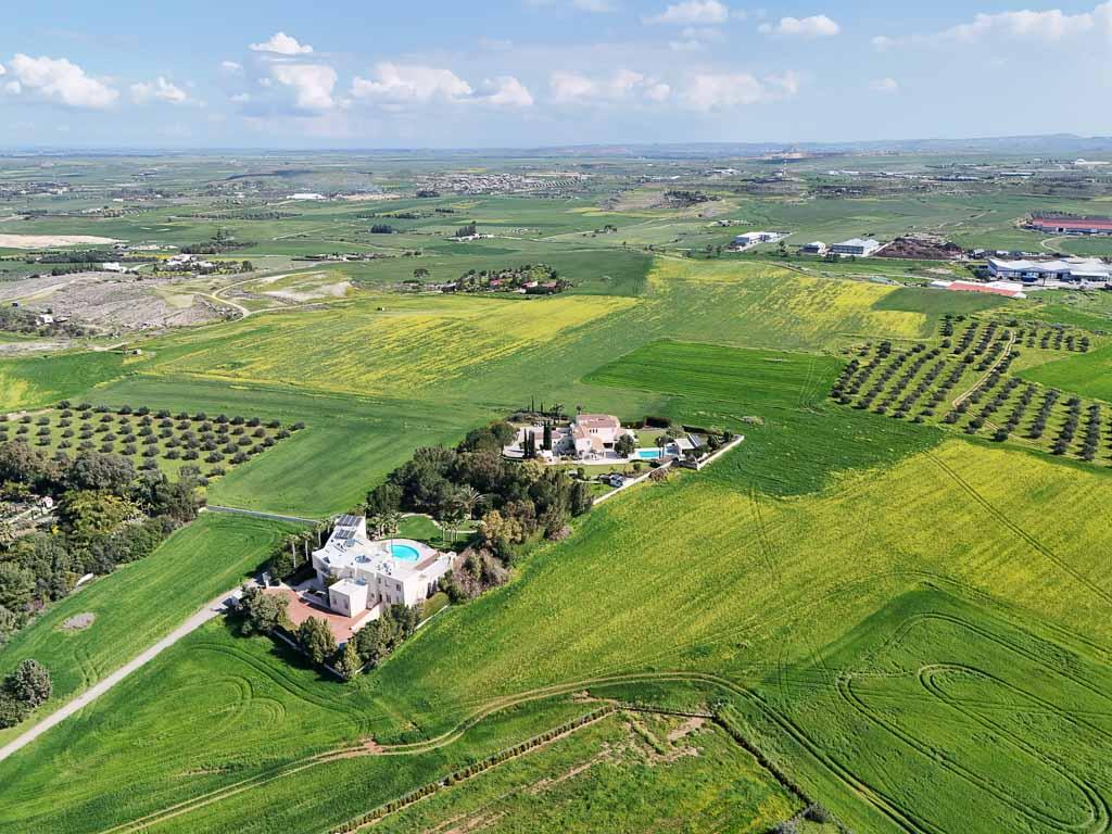Field - Laiki Lefkothea, Nicosia-Geri