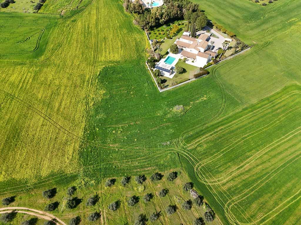 Field - Laiki Lefkothea, Nicosia-Geri