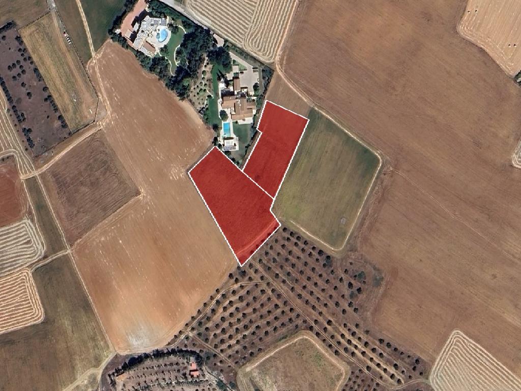 Field - Laiki Lefkothea, Nicosia-Geri