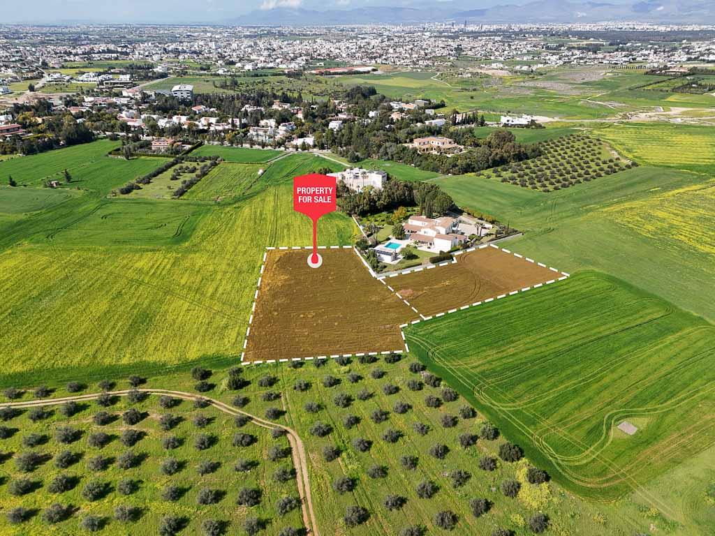 Field - Laiki Lefkothea, Nicosia-Geri