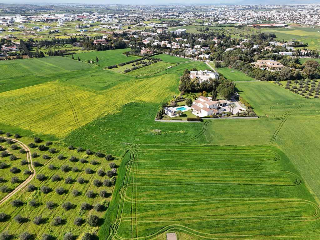 Field - Laiki Lefkothea, Nicosia-Geri