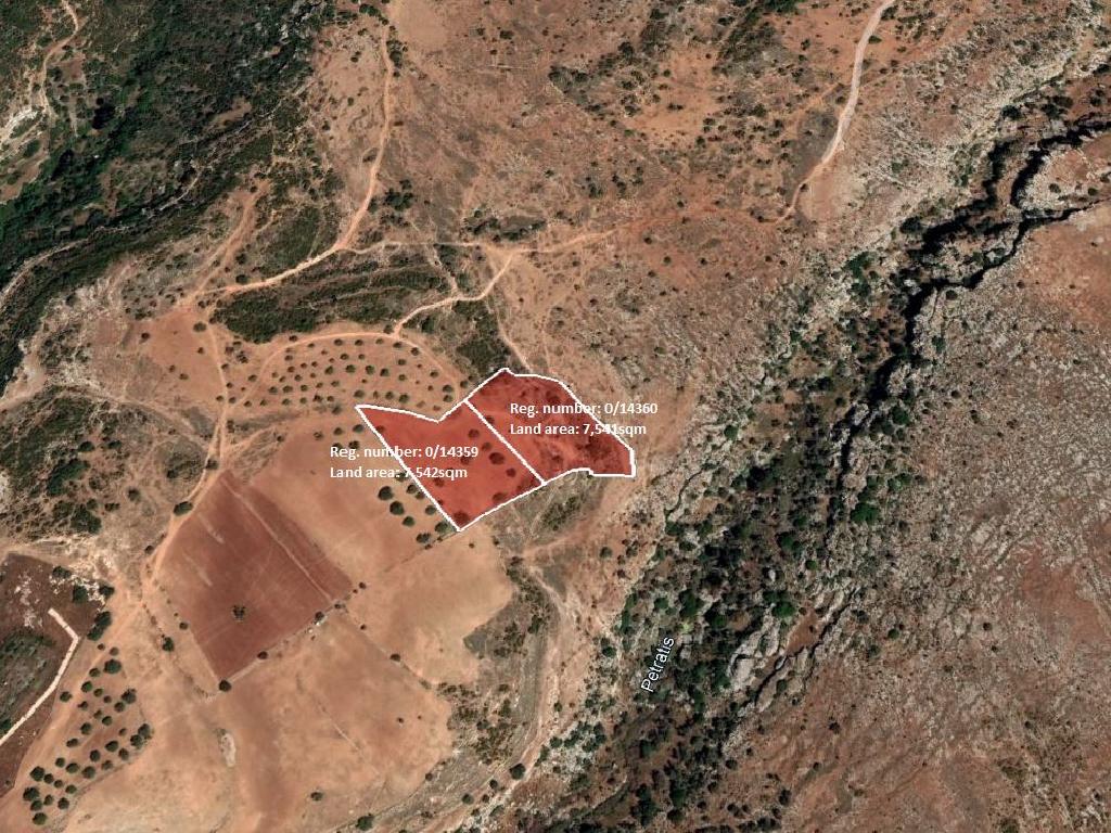 Field - Neo Chorio, Paphos