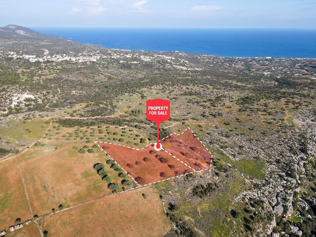 Field - Neo Chorio, Paphos