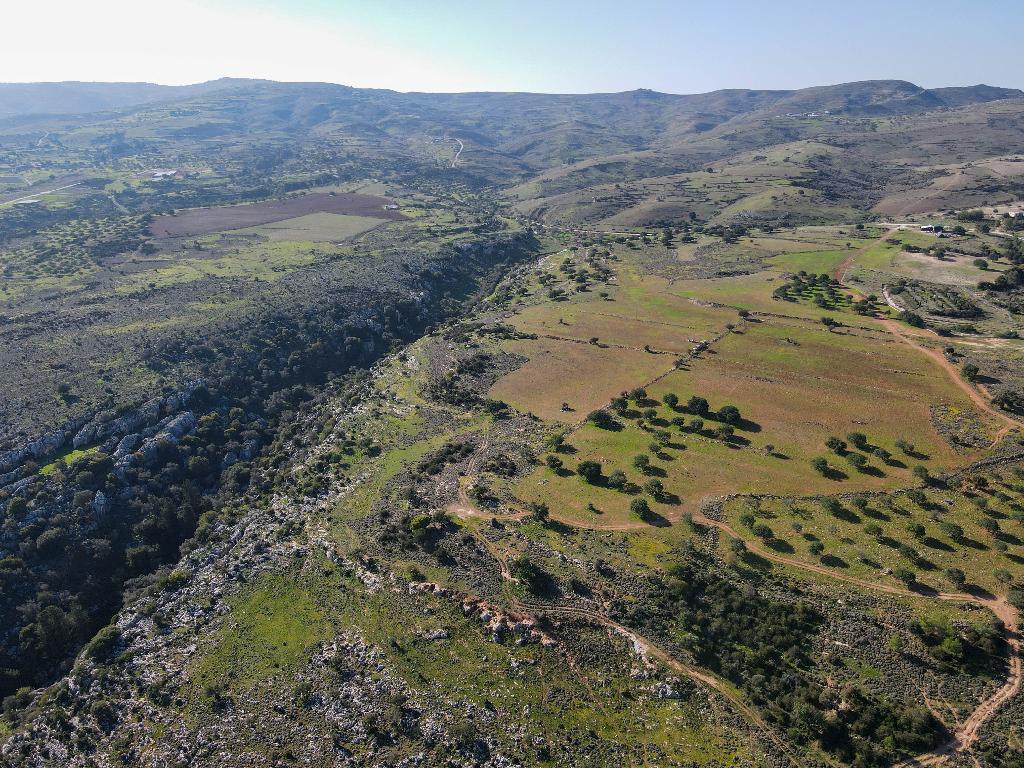 Field - Neo Chorio, Paphos
