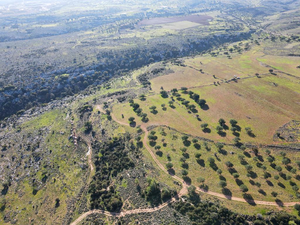 Field - Neo Chorio, Paphos