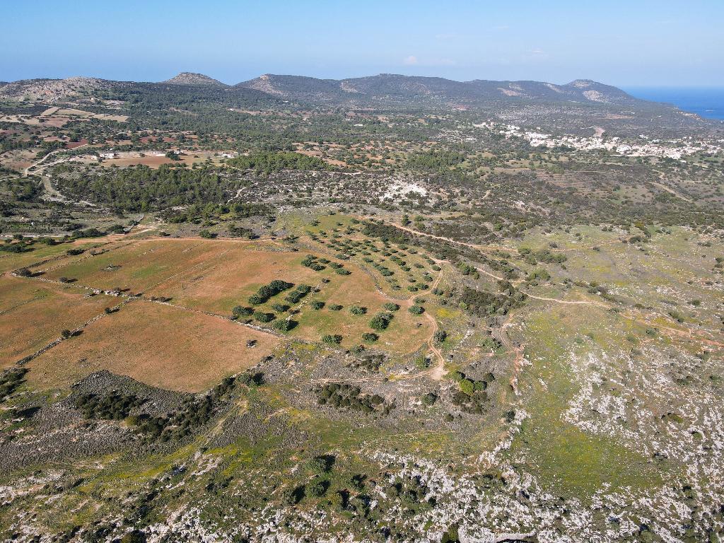 Field - Neo Chorio, Paphos