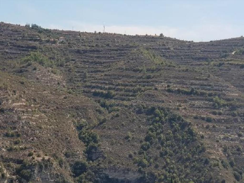 Field - Koilani, Limassol-Koilani