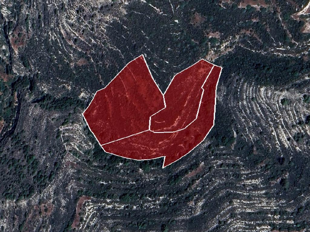 Field - Koilani, Limassol-Koilani