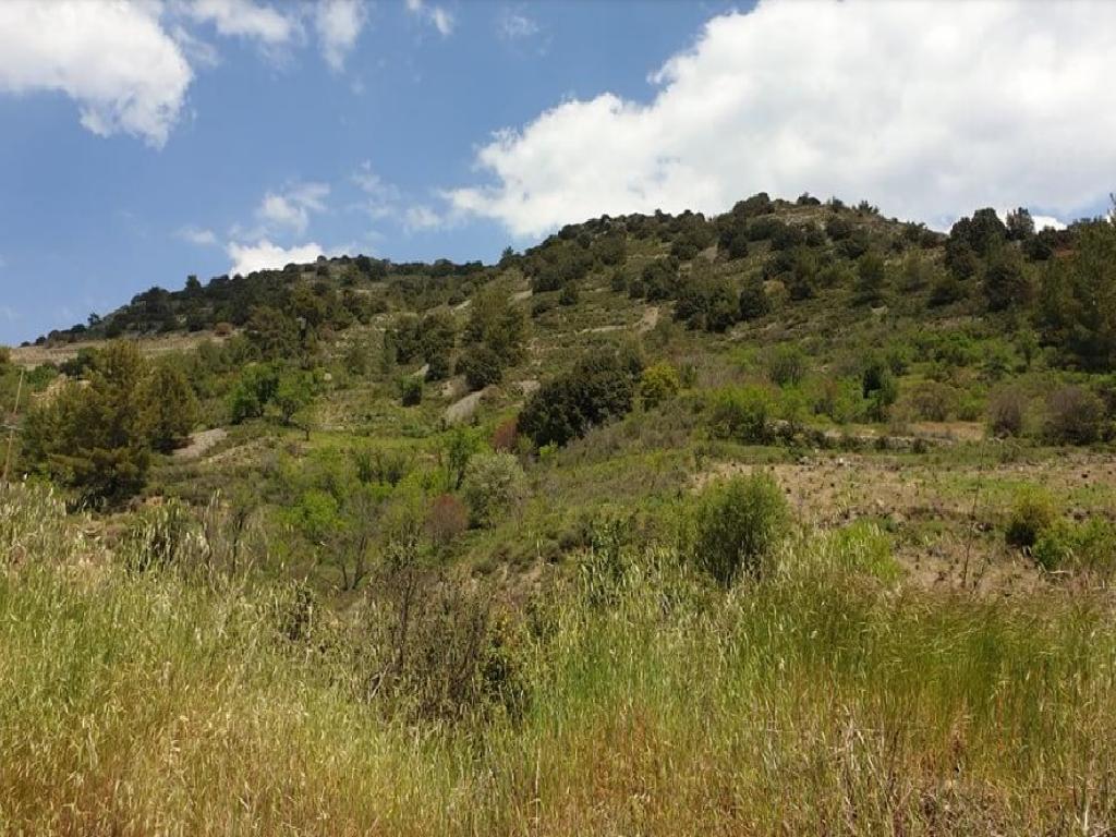 Field - Palaichori, Nicosia-Palaichori Morfou