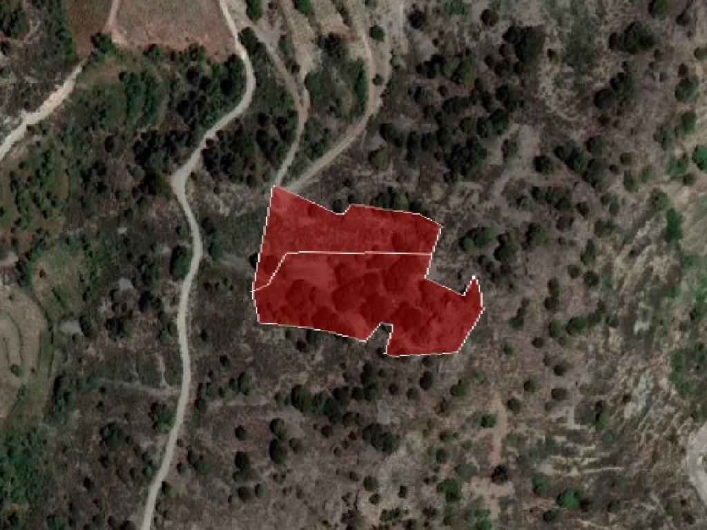 Field - Palaichori, Nicosia-Palaichori Morfou