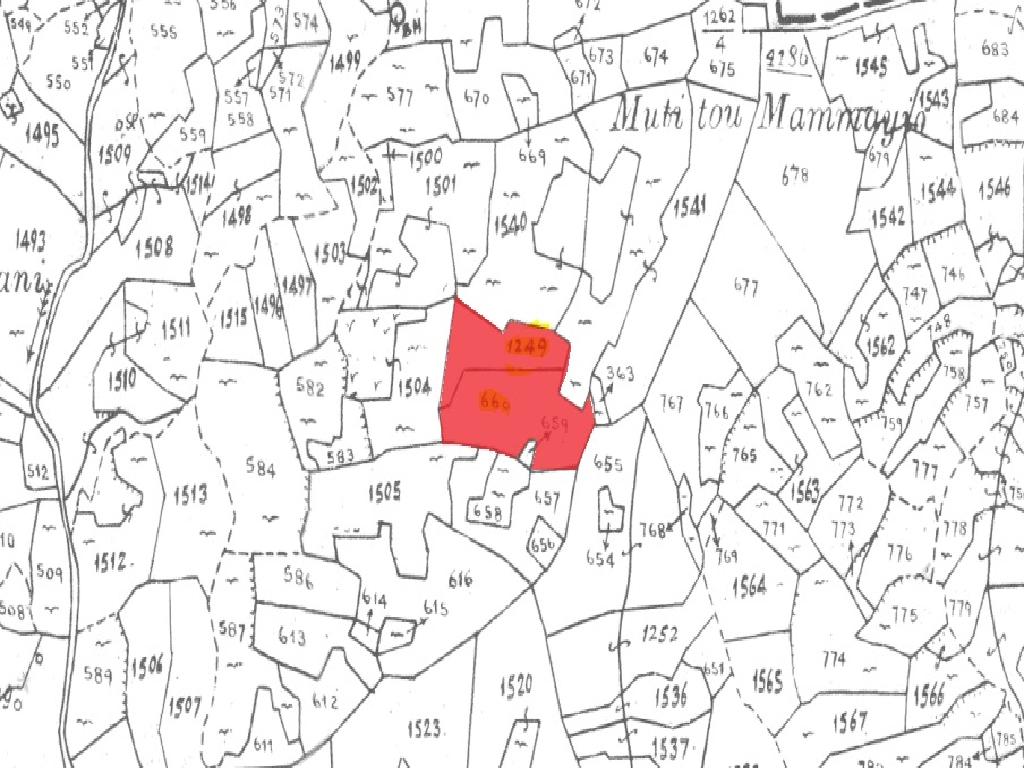 Field - Palaichori, Nicosia-Palaichori Morfou