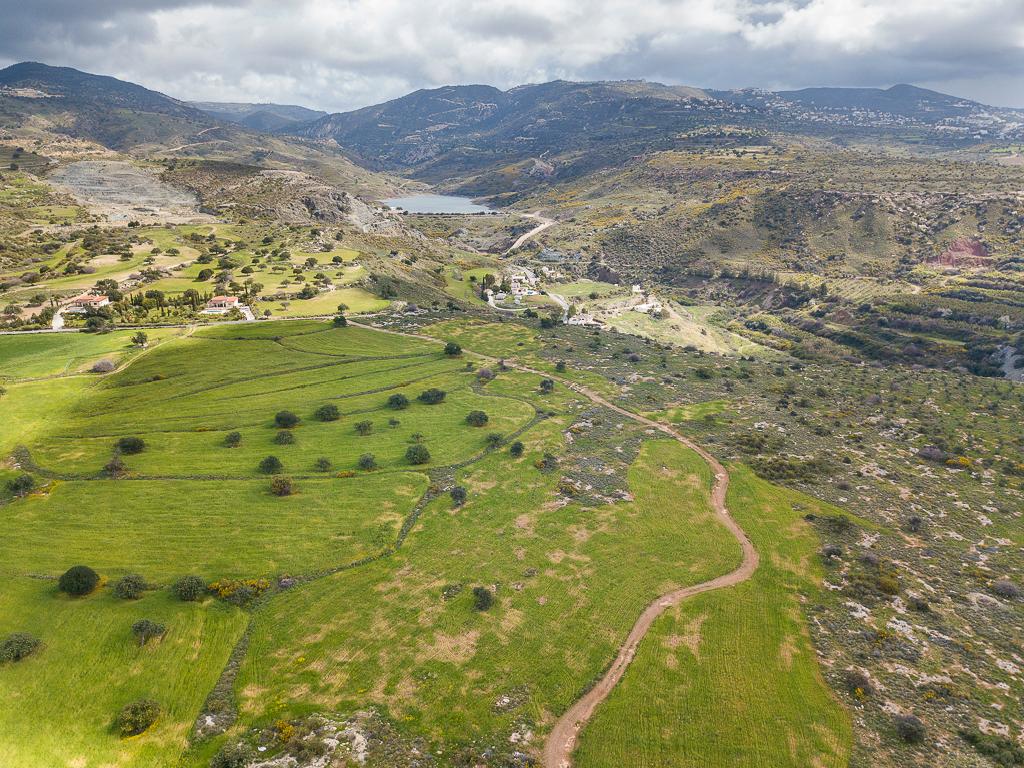 Field - Pegeia, Paphos-Pegeia