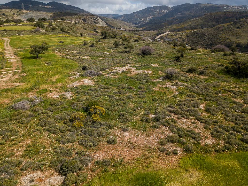 Field - Pegeia, Paphos