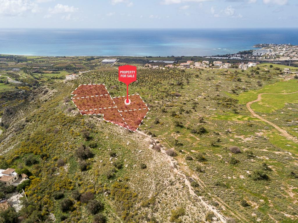 Field - Pegeia, Paphos