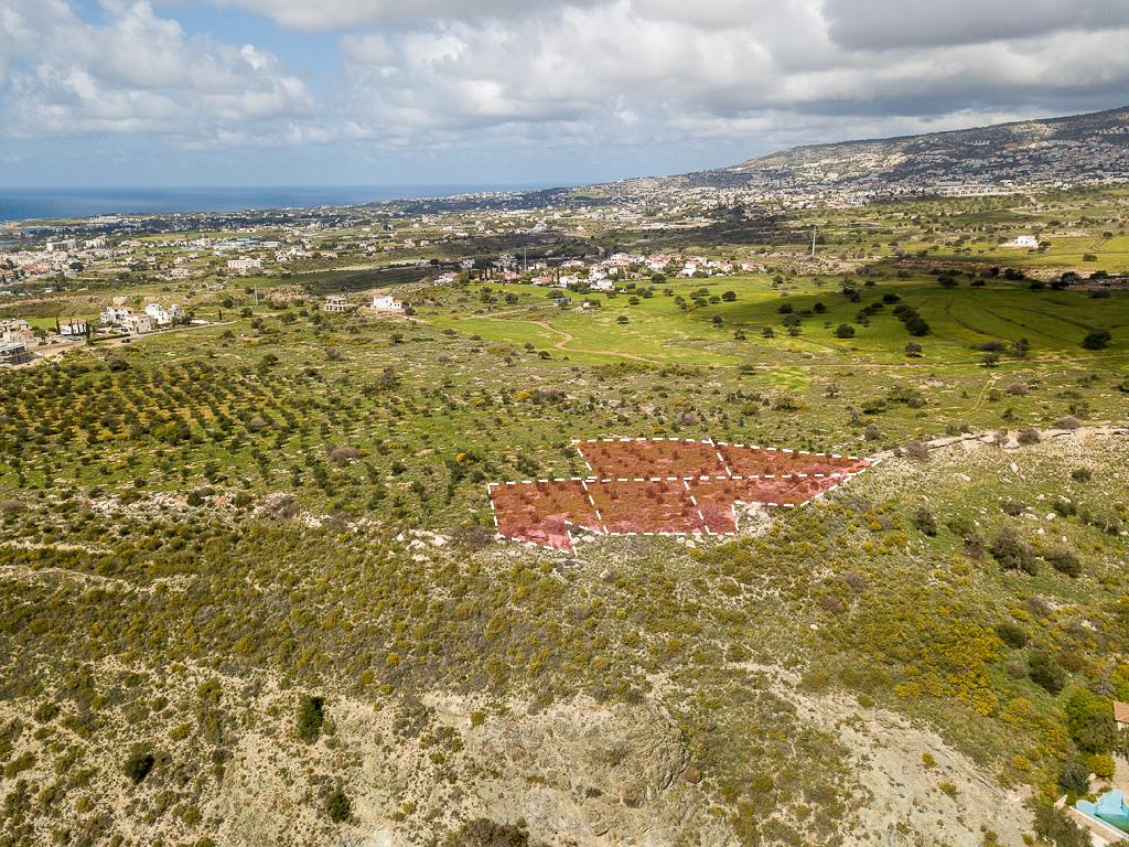 Field - Pegeia, Paphos-Pegeia