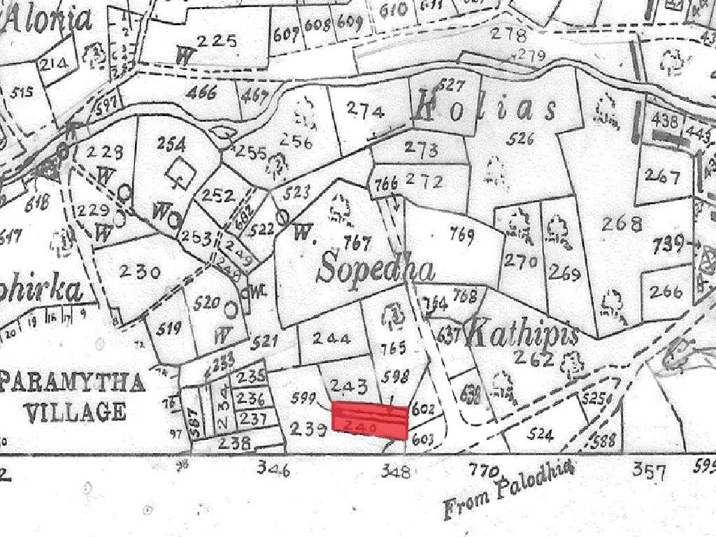 Fields (share) - Paramytha, Limassol