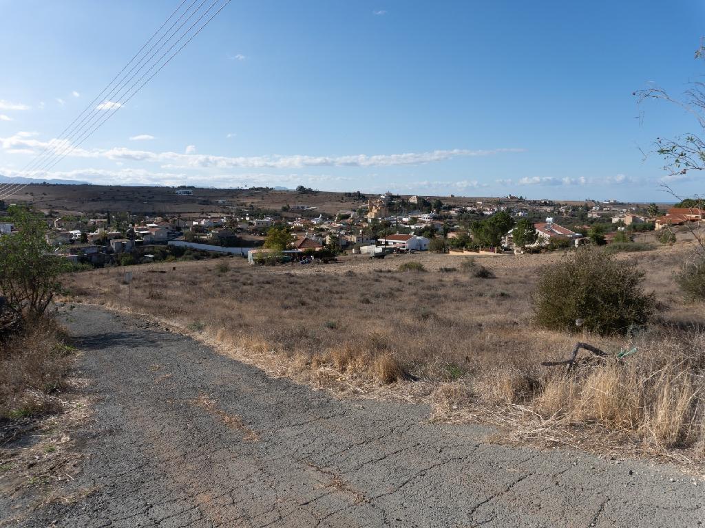 Field - Potami, Nicosia