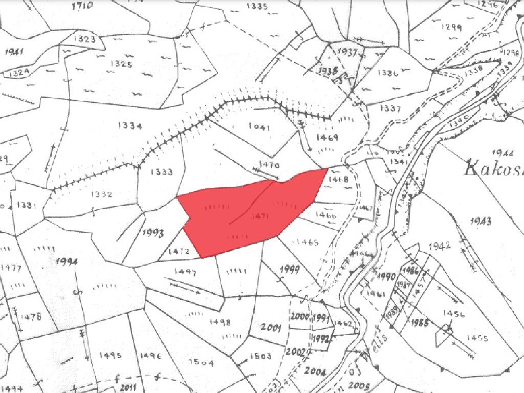 Field-Fterikoudi-PR15314