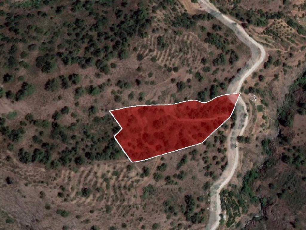 Field-Fterikoudi-PR15314