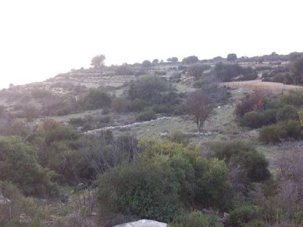 Field-Dora-PR12517