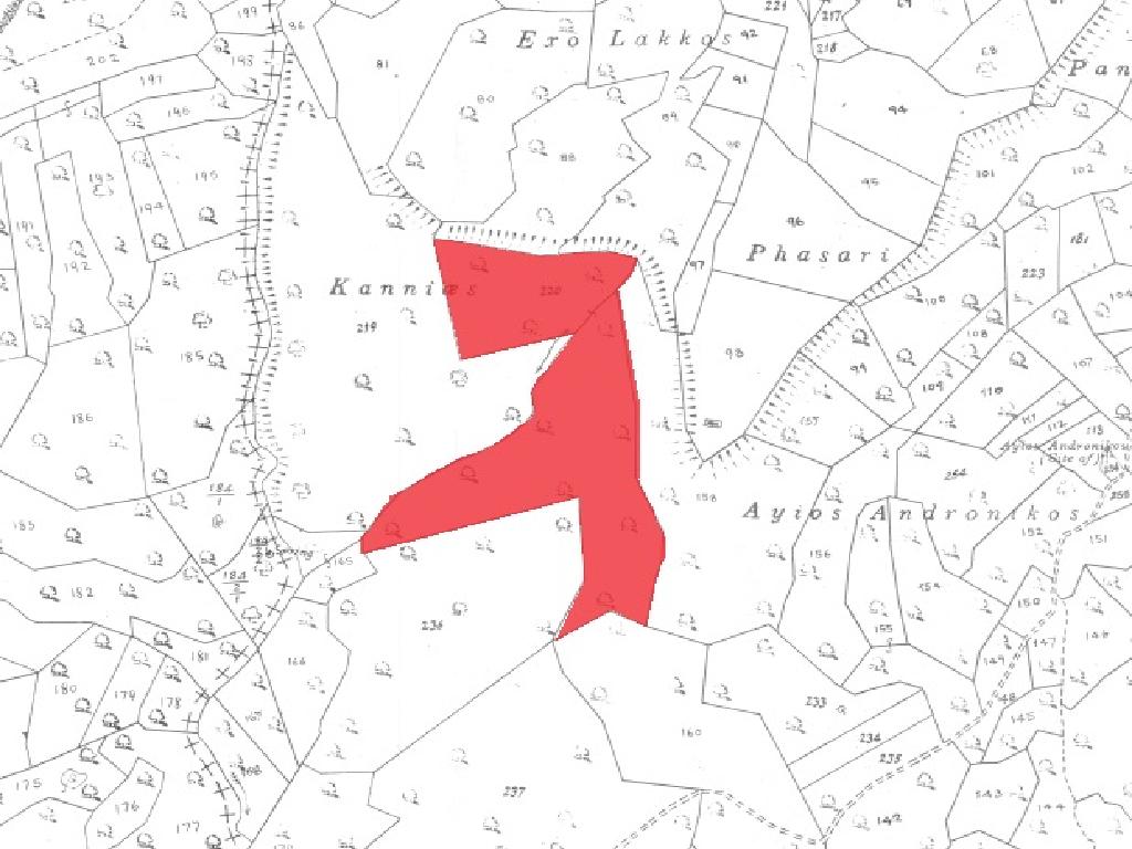 Field-Dora-PR12517