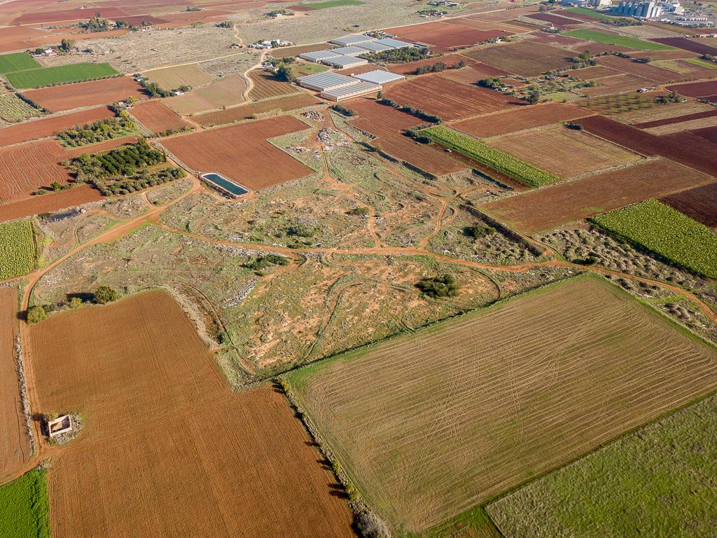 Field-Liopetri-PR13731