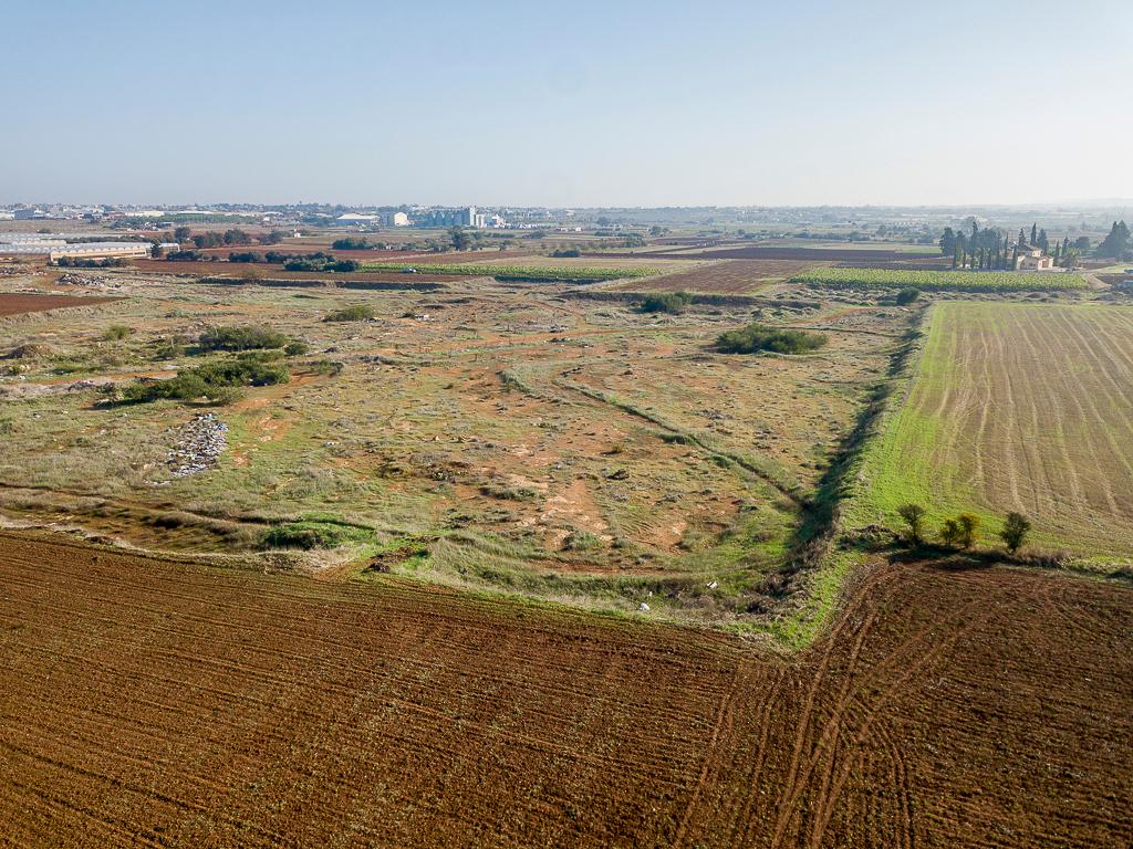 Field-Liopetri-PR13731