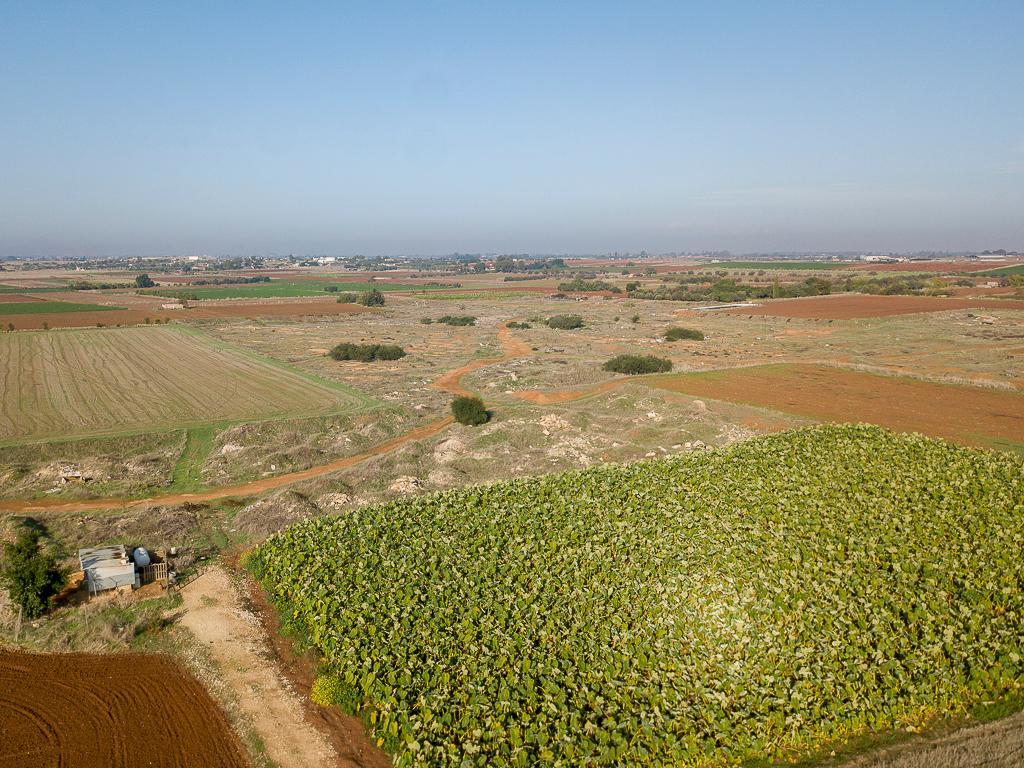 Field-Liopetri-PR13731