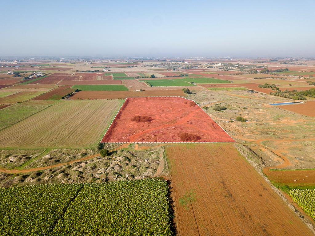 Field-Liopetri-PR13731