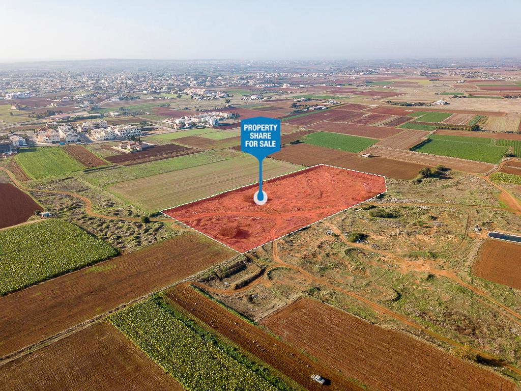 Field-Liopetri-PR13731