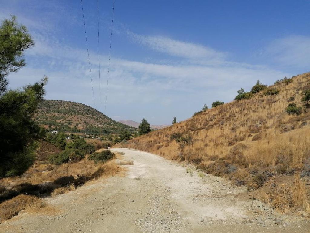 &Chi;&omega;&rho;ά&phi;&iota; (&Mu;&epsilon;&rho;ί&delta;&iota;&omicron;) - &Kappa;&lambda;ή&rho;&omicron;&upsilon;, &Lambda;&epsilon;&upsilon;&kappa;&omega;&sigma;ί&alpha;