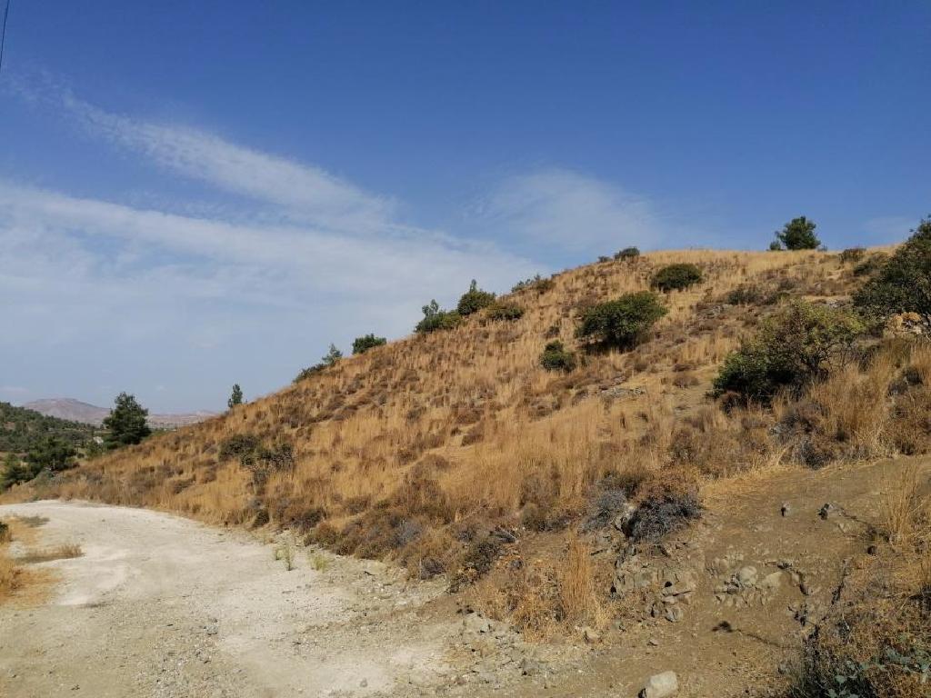 &Chi;&omega;&rho;ά&phi;&iota; (&Mu;&epsilon;&rho;ί&delta;&iota;&omicron;) - &Kappa;&lambda;ή&rho;&omicron;&upsilon;, &Lambda;&epsilon;&upsilon;&kappa;&omega;&sigma;ί&alpha;