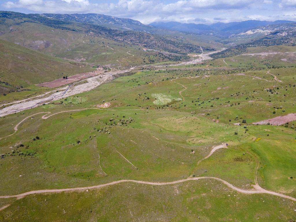 Field-Kelokedara-PR35293