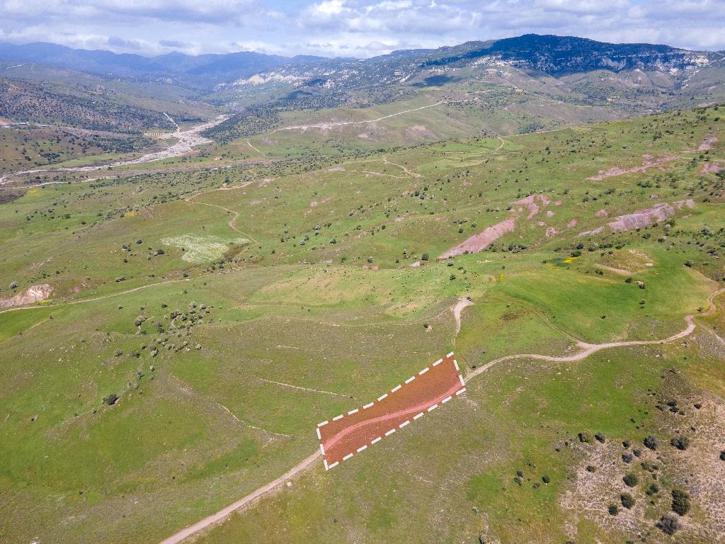 Field-Kelokedara-PR35293