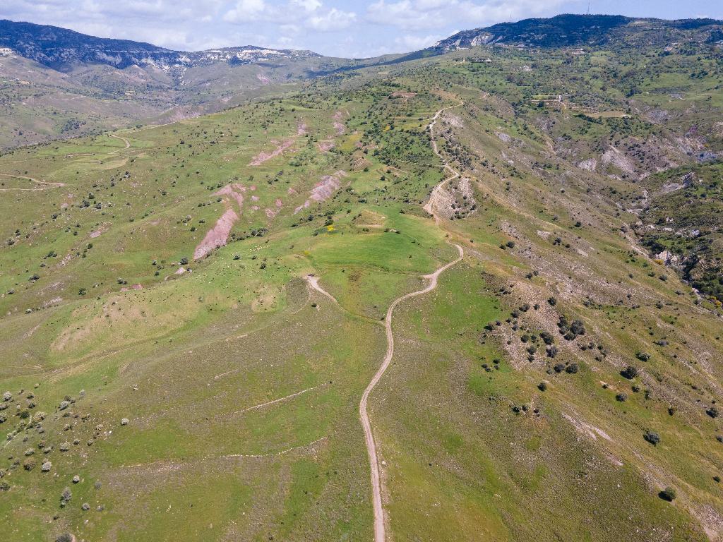Field-Kelokedara-PR35293