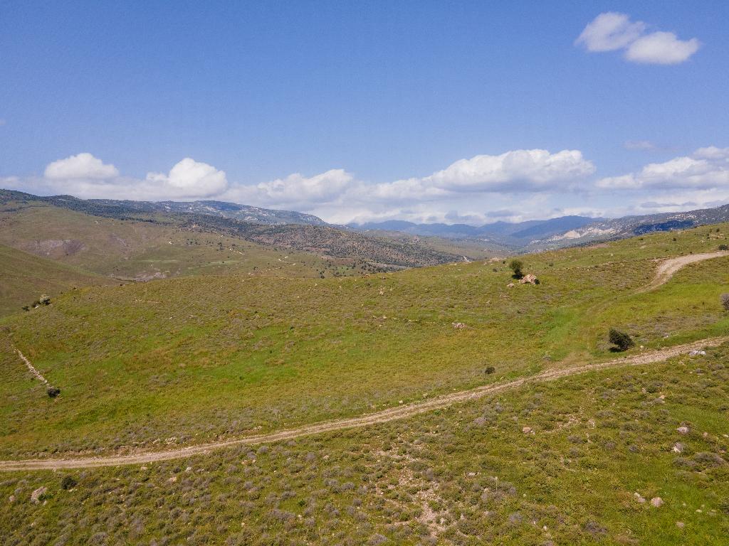 Field-Kelokedara-PR35293