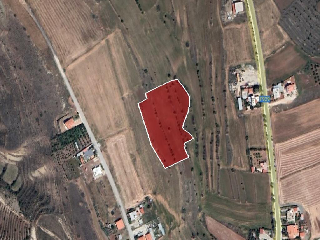 Field (Share) - Vyzakia, Nicosia