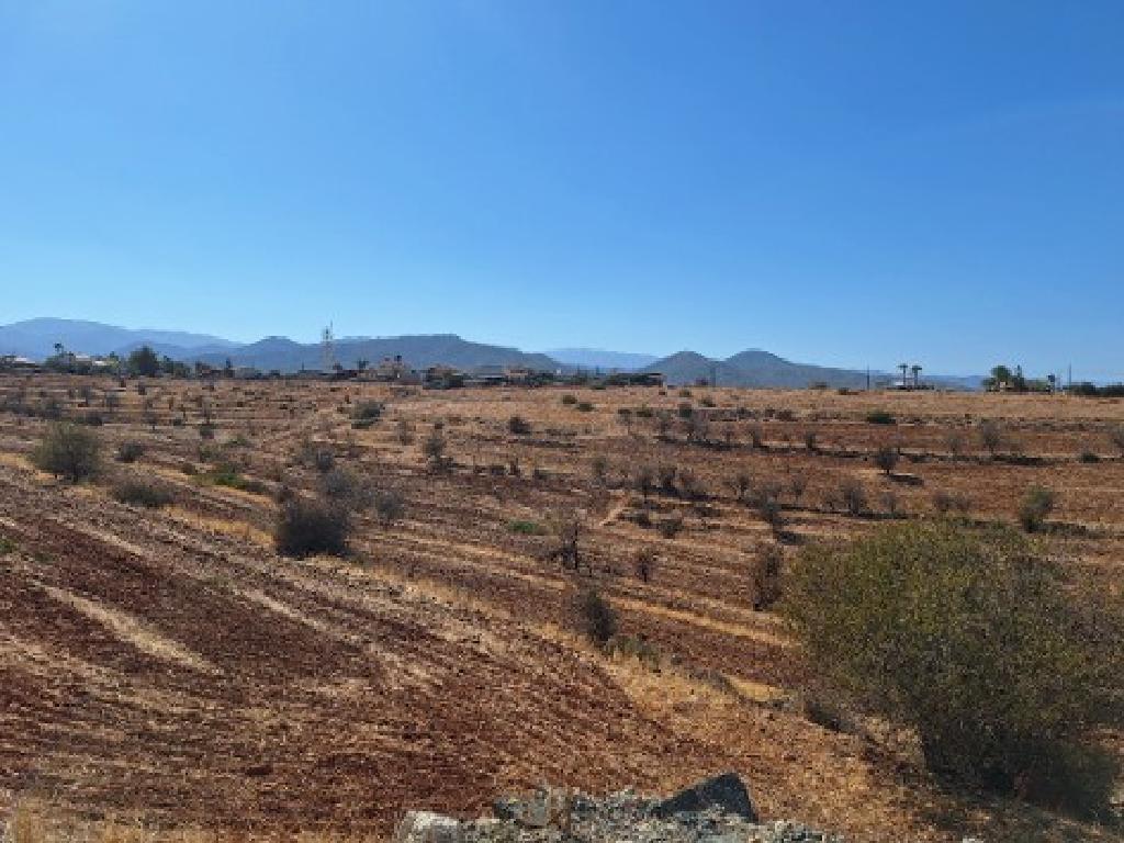 Field (Share) - Vyzakia, Nicosia