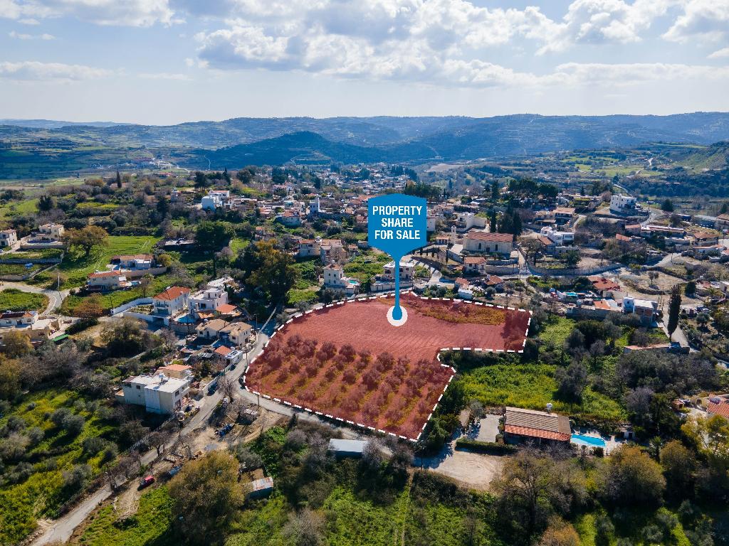 Field (Share) - Stroumpi, Paphos