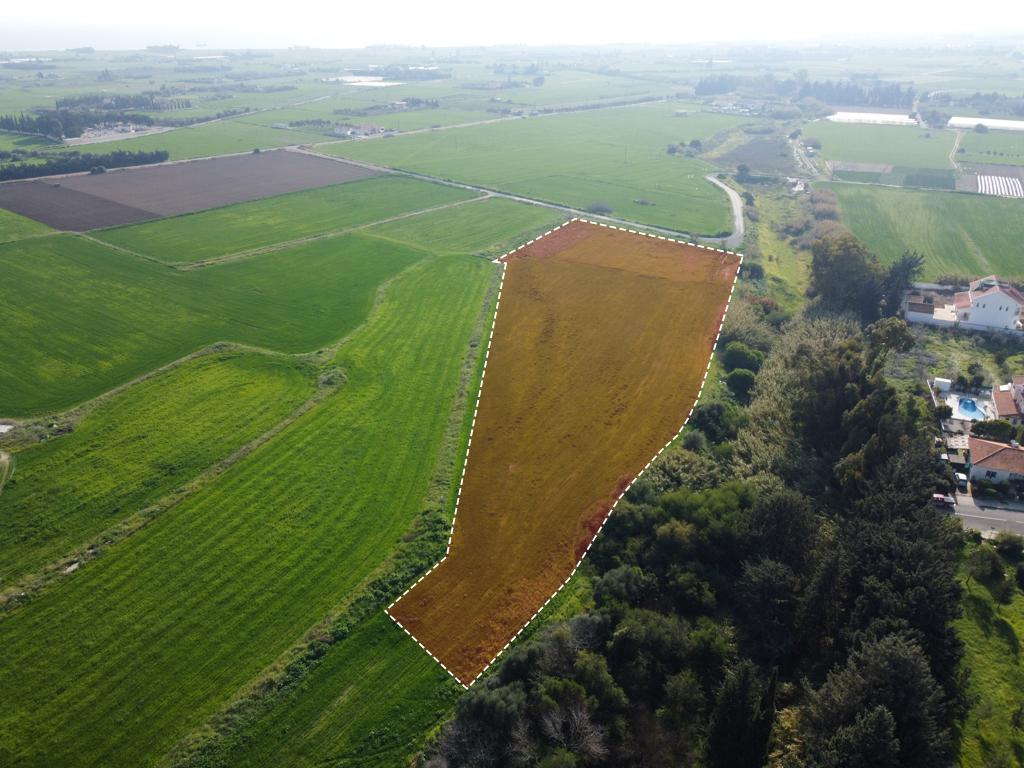 Field-Kiti-PR37503